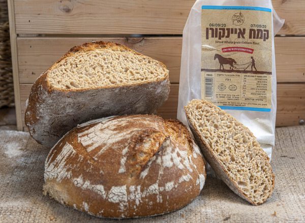 סדנת אפייה קמחים מיוחדים