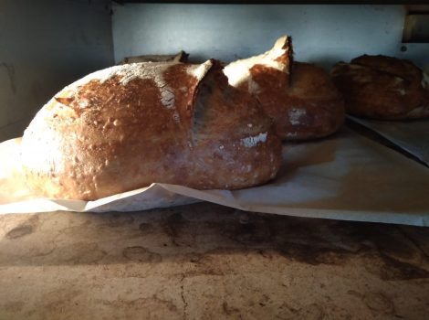 לחם טארטין עם שומשום קלוי