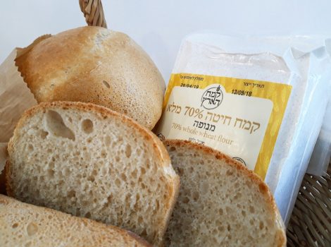 לחם כפרי בסיסי 1